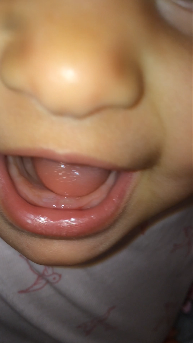 Foto 25-9-17 20 49 47