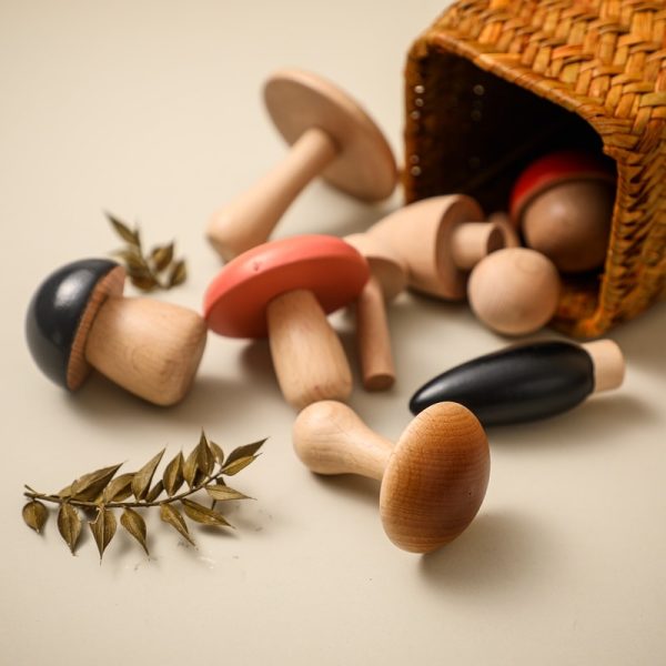 Juego de setas de madera 14